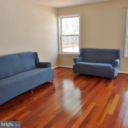 47990 Piney Orchard Street photo 5