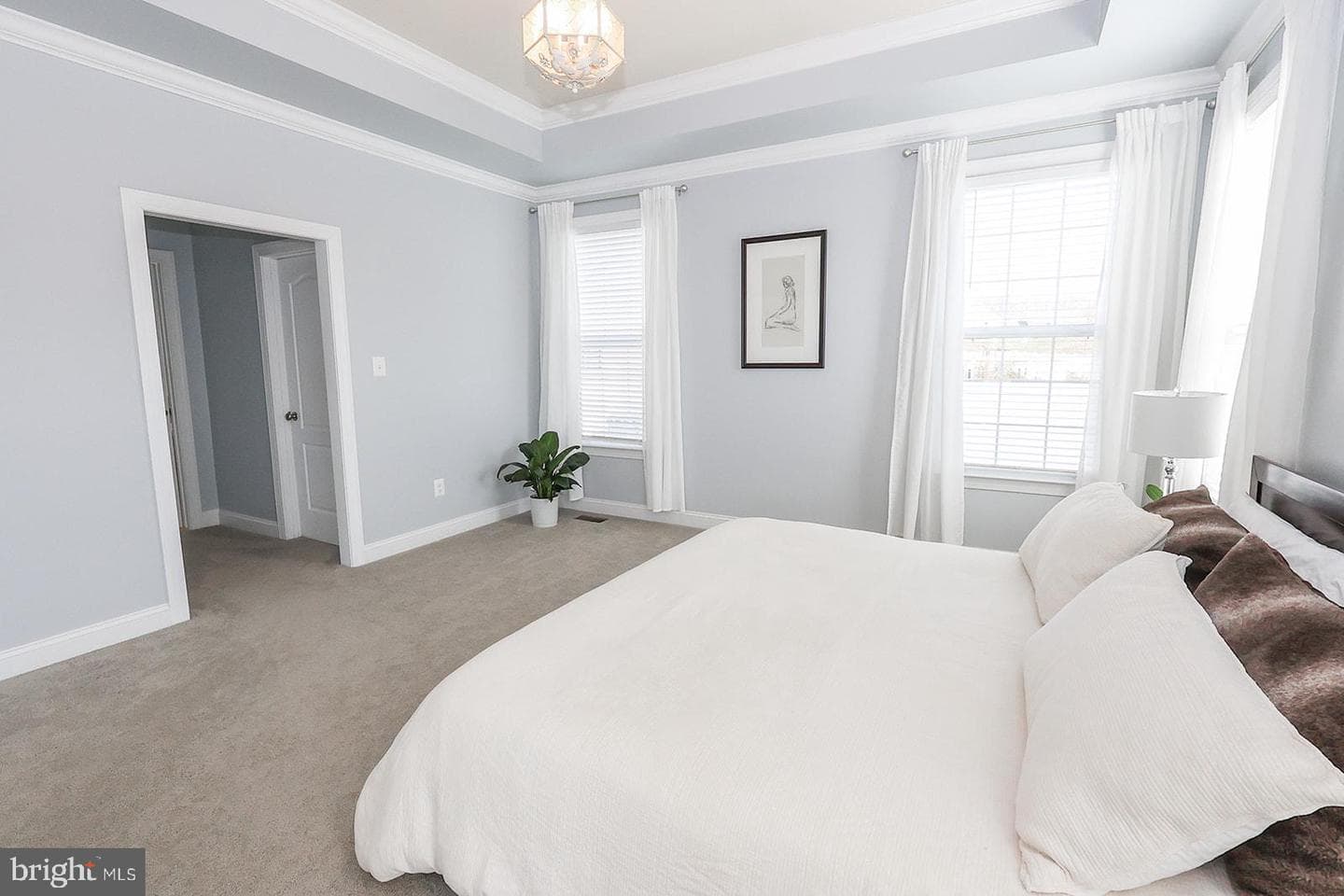 24541 Broad Creek Drive photo 28