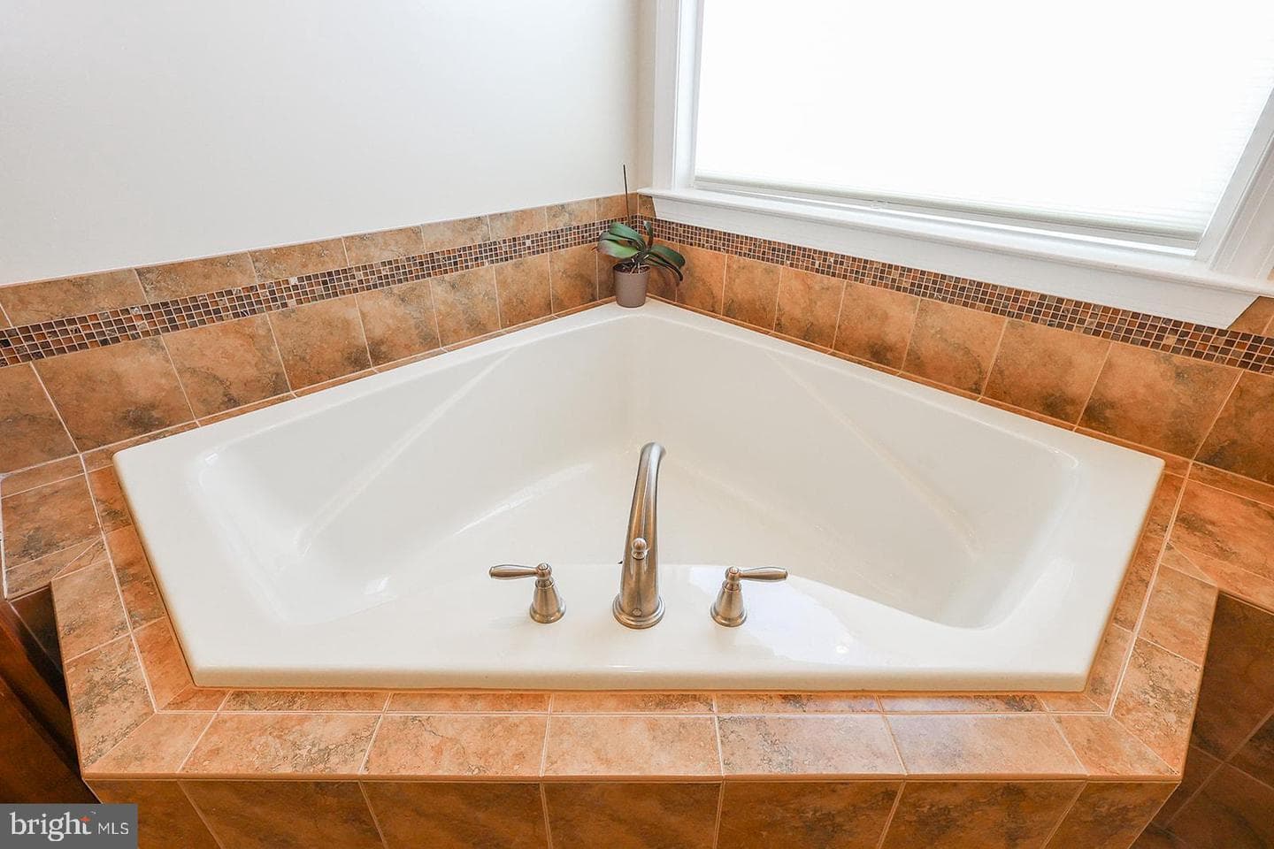 24541 Broad Creek Drive photo 33