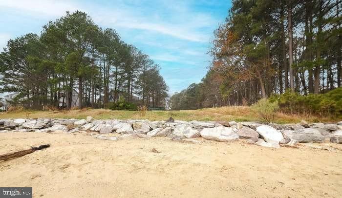 21544 Oxford Drive photo 52