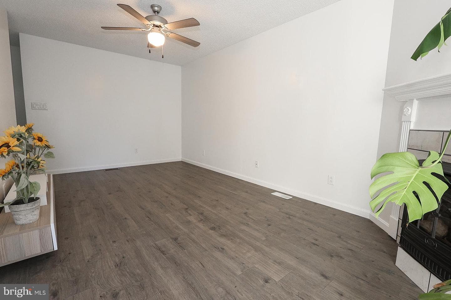 45615 Longfields Village Drive photo 17