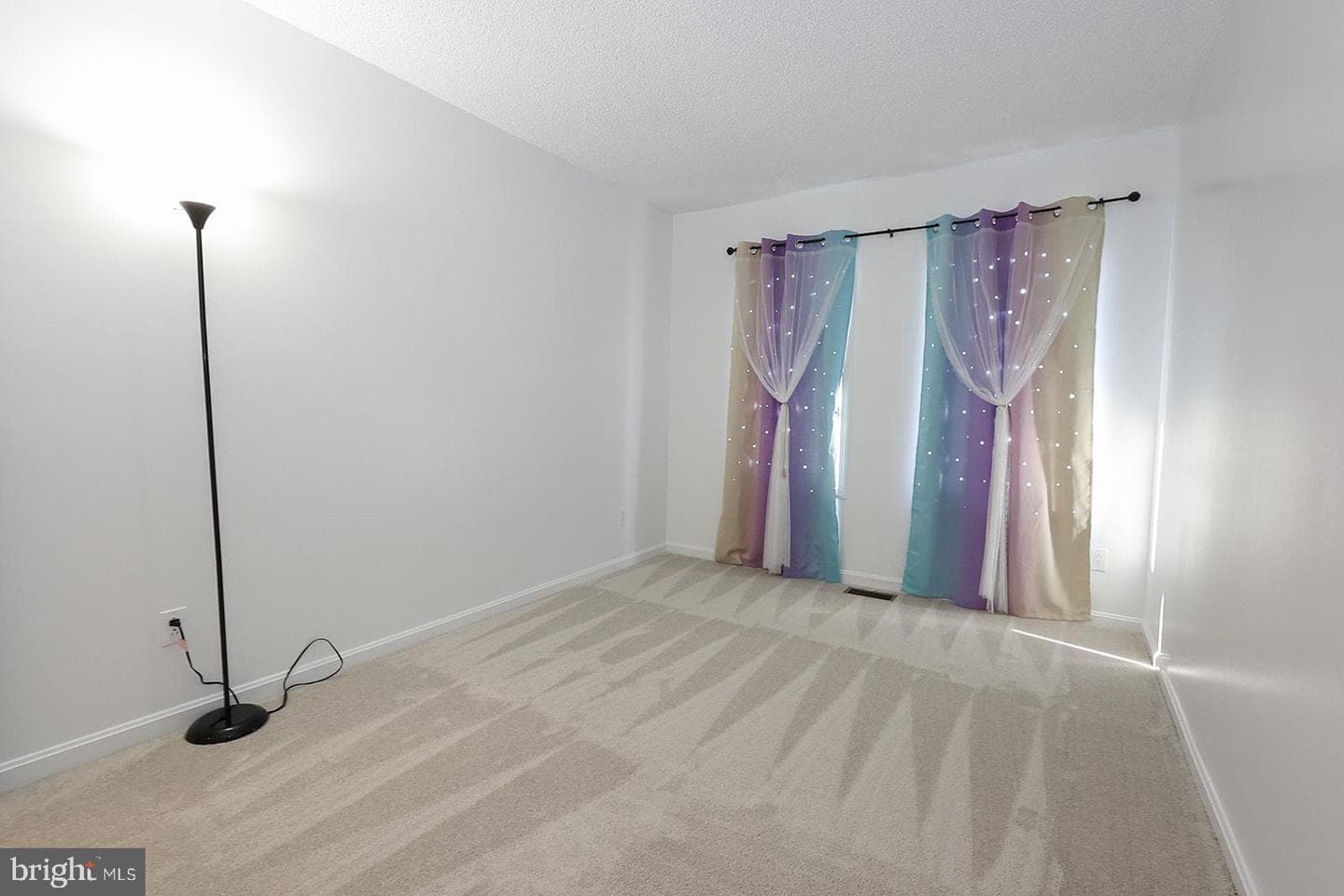 45615 Longfields Village Drive photo 22