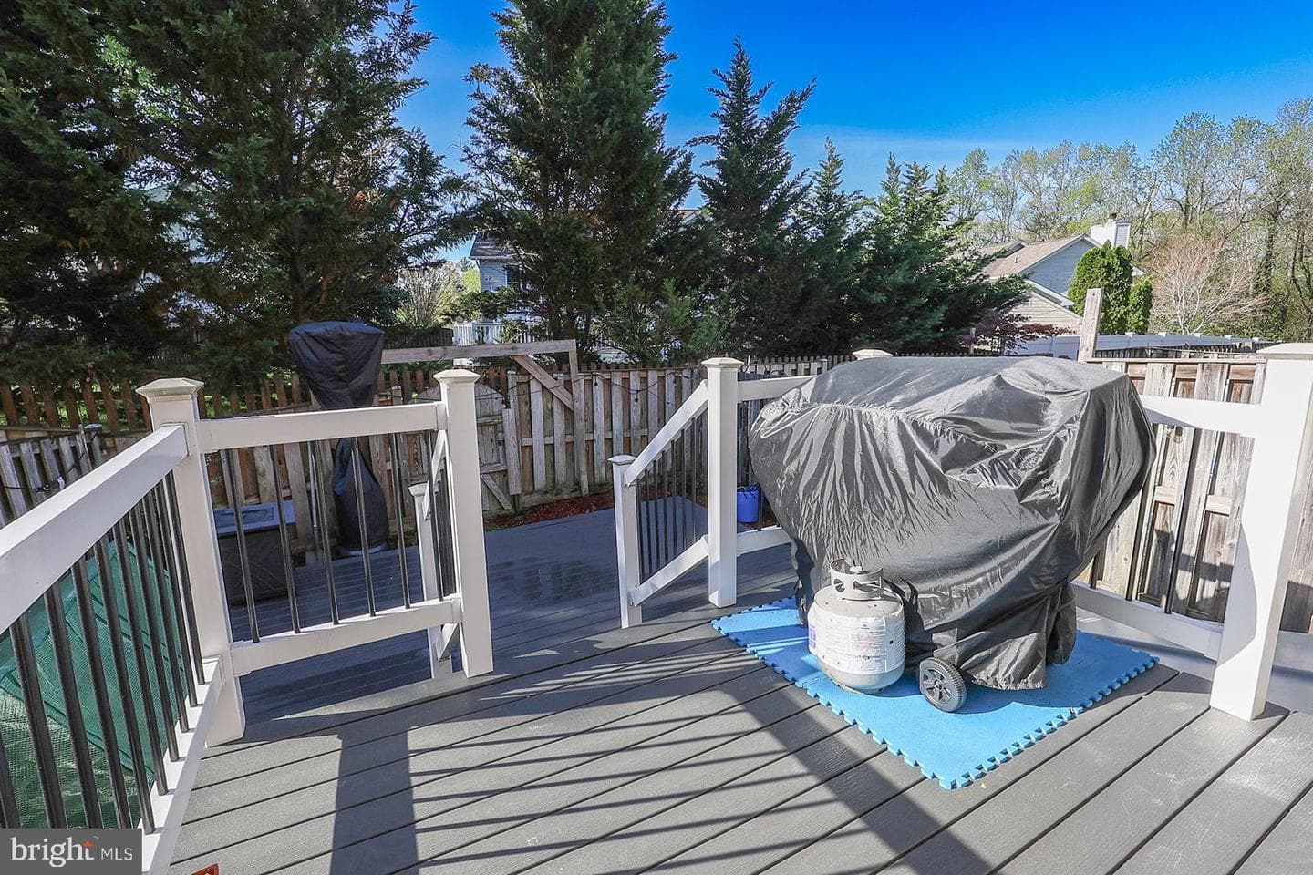 45615 Longfields Village Drive photo 42
