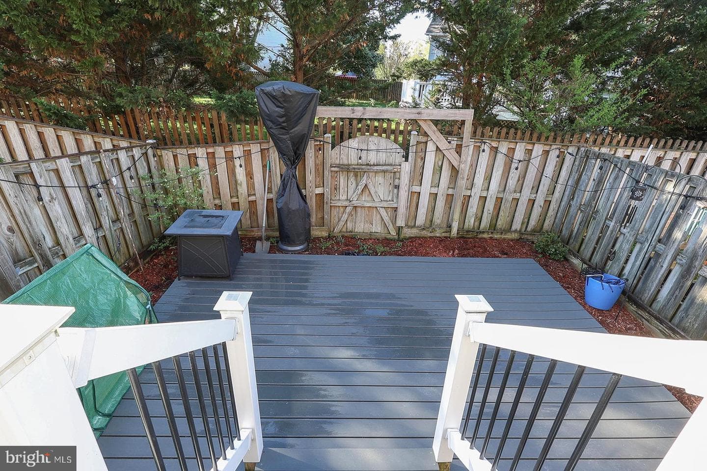 45615 Longfields Village Drive photo 44