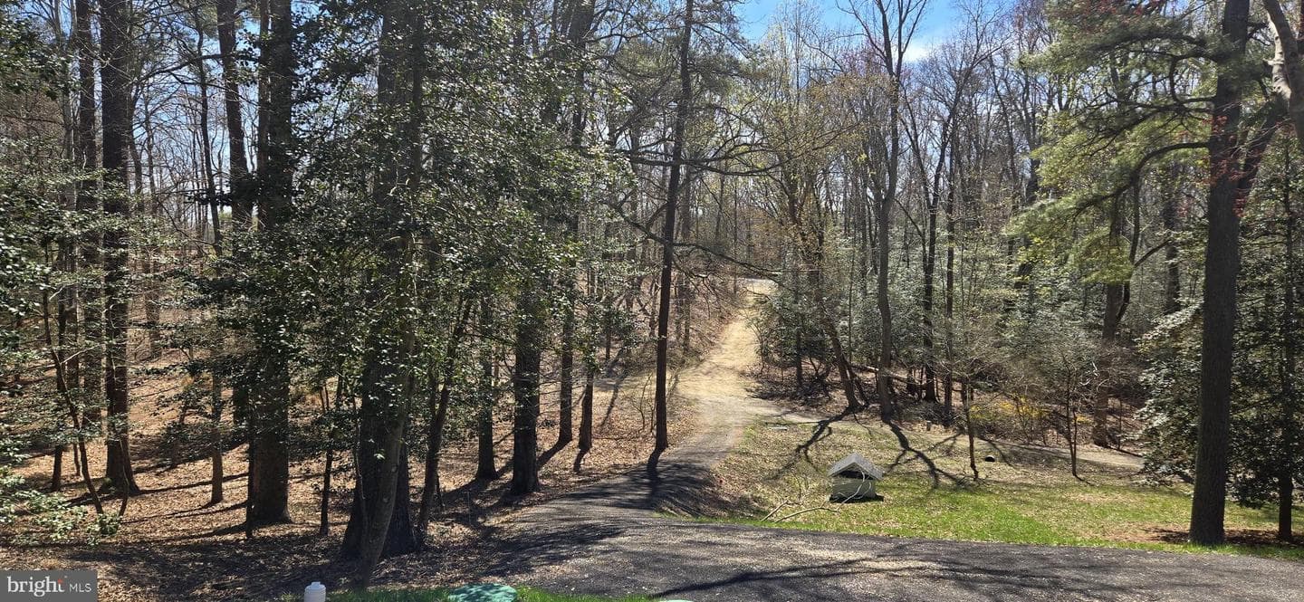 43732 Raspberry Lane photo 53