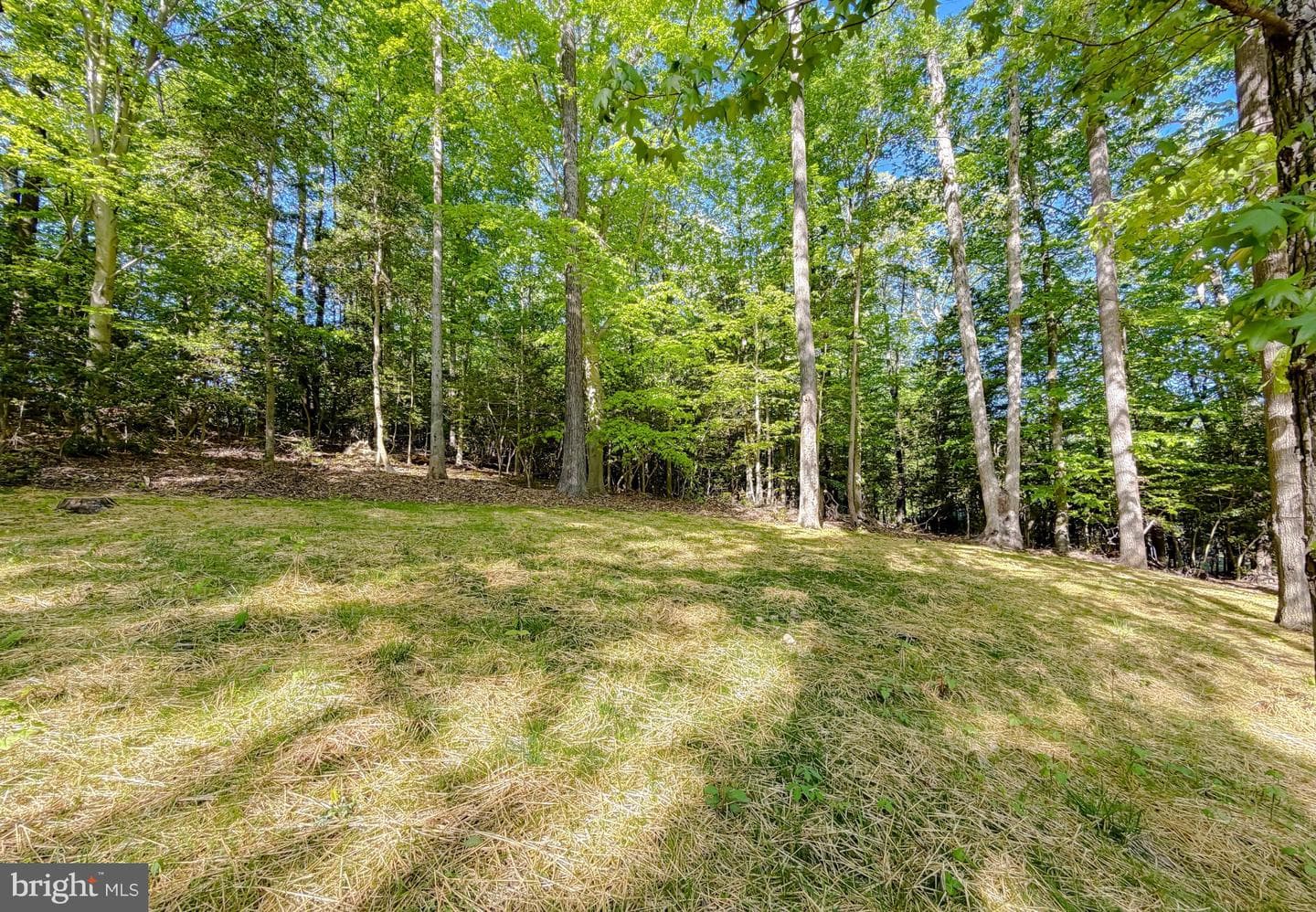 23575 Gross Drive photo 49