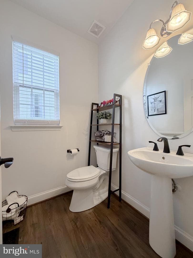 23333 Dianthus Way photo 27