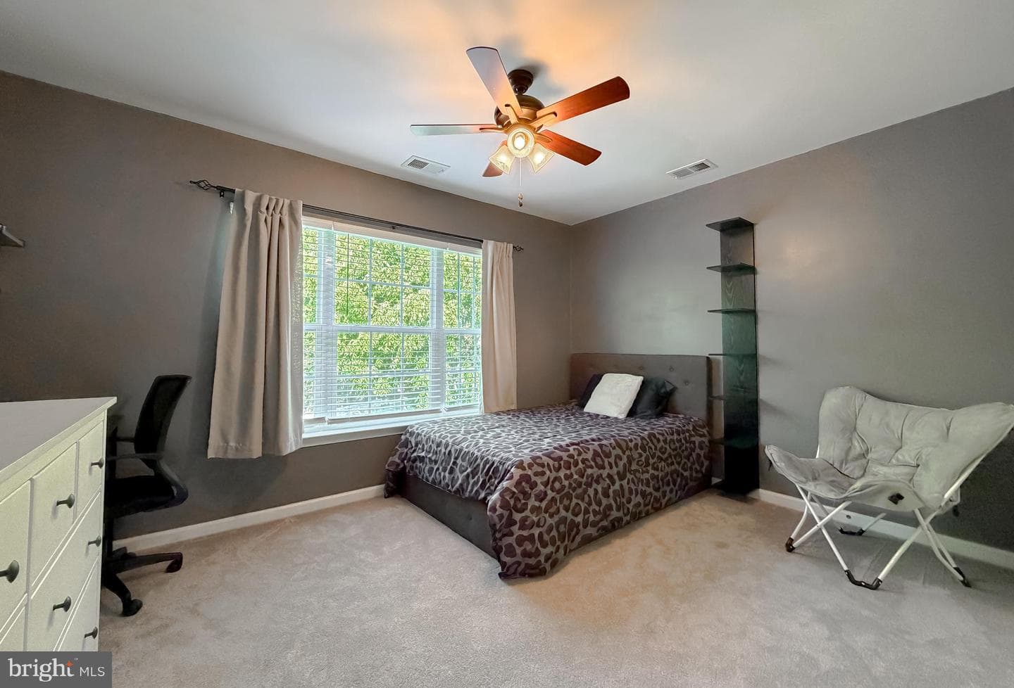 23333 Dianthus Way photo 43
