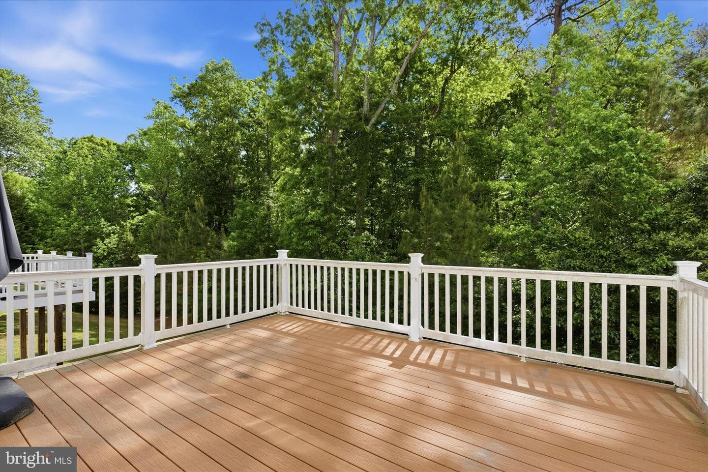 44313 Ocelot Way photo 30