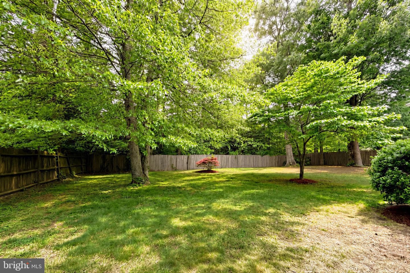 21293 Scarborough Drive photo 43