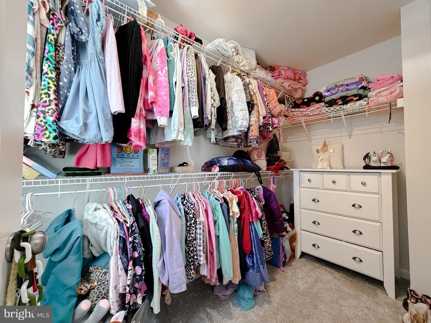 44088 Eucalyptus Way photo 25