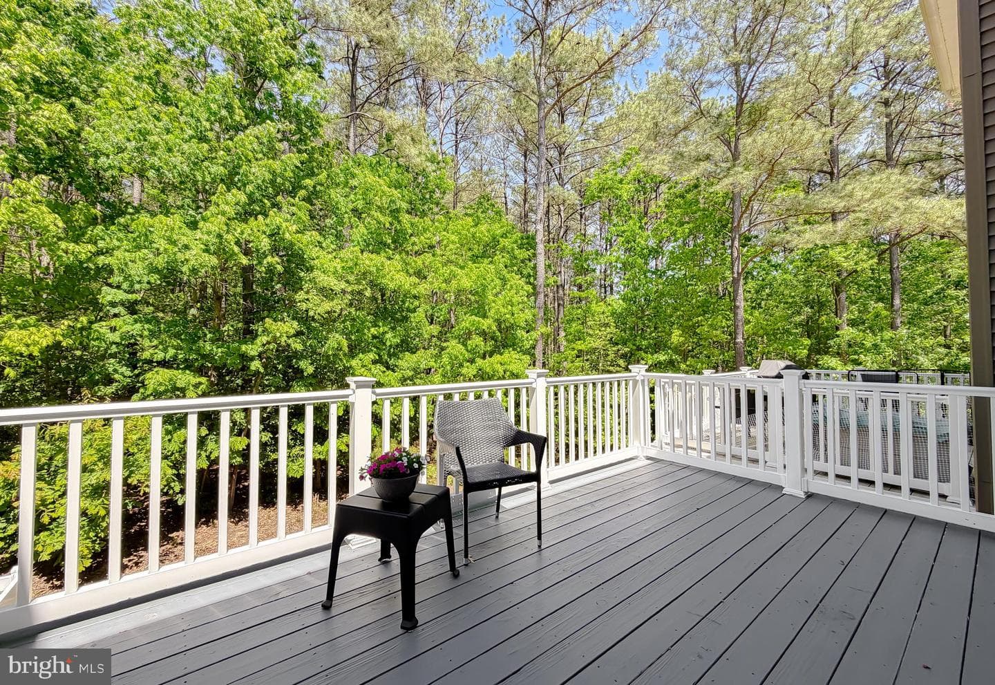 44088 Eucalyptus Way photo 35