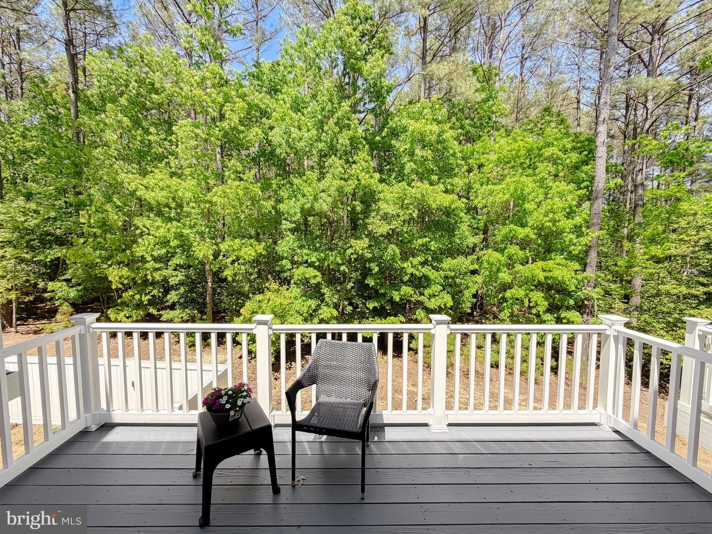 44088 Eucalyptus Way photo 37