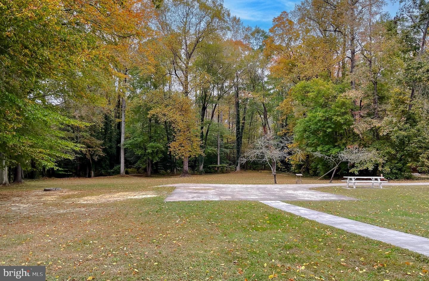 20601 Poppys Way photo 45