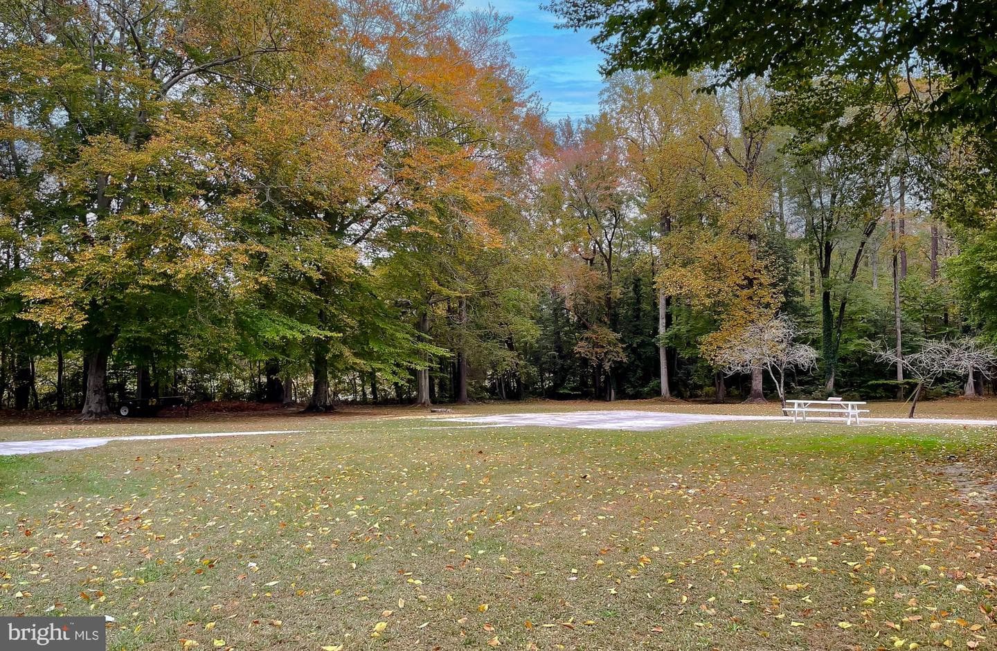 20601 Poppys Way photo 6