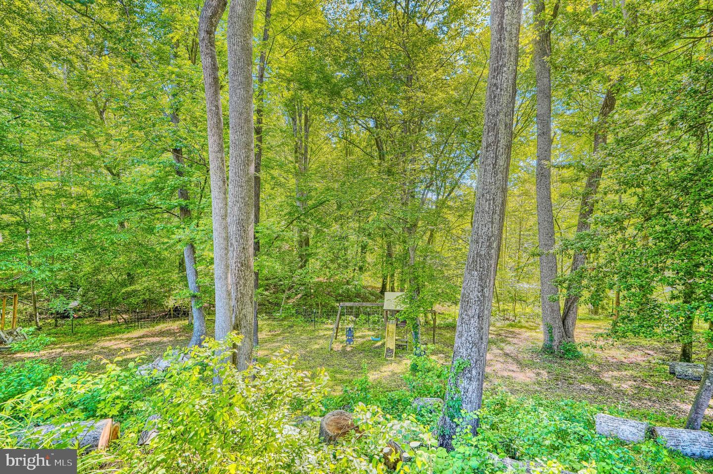 30126 Edinborough Drive photo 70