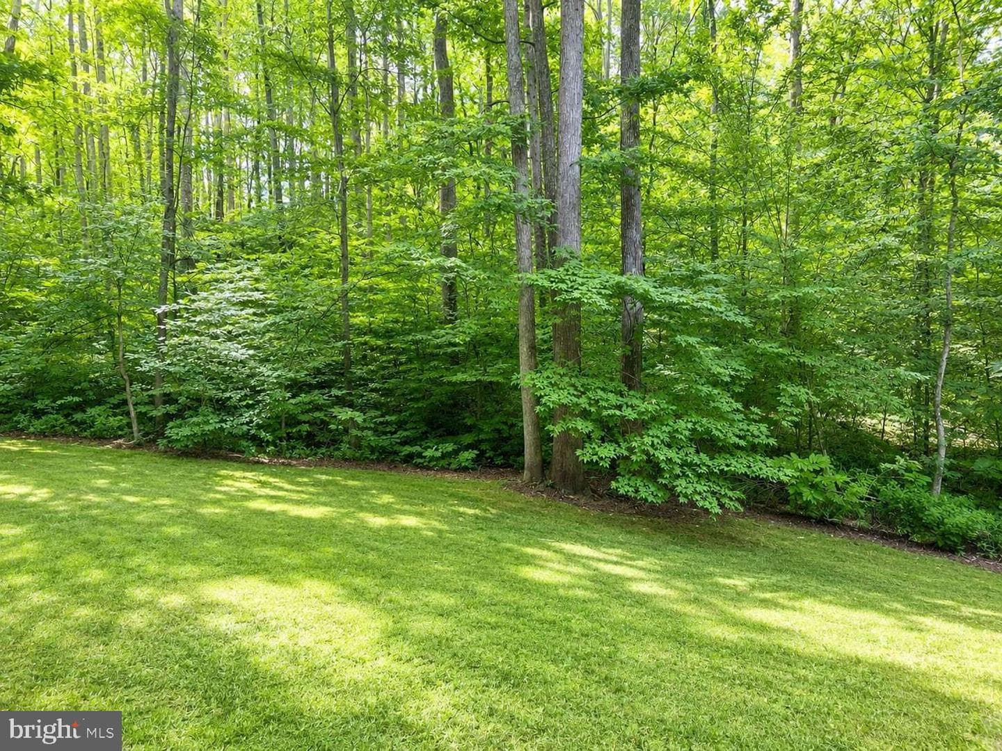 37681 Asher Road photo 19