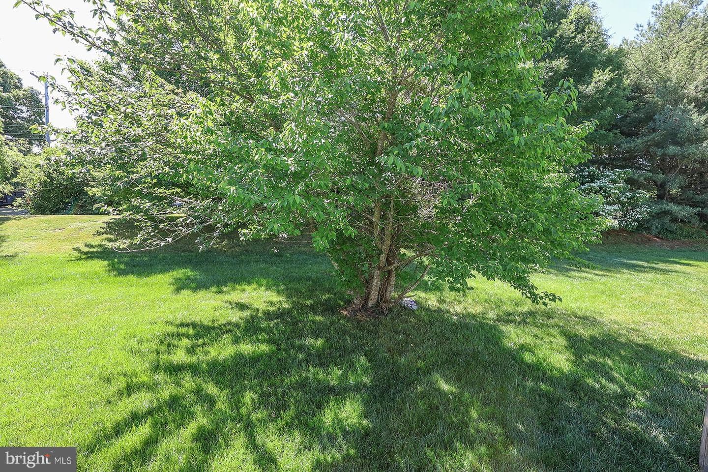 45525 Sunflower Street photo 65