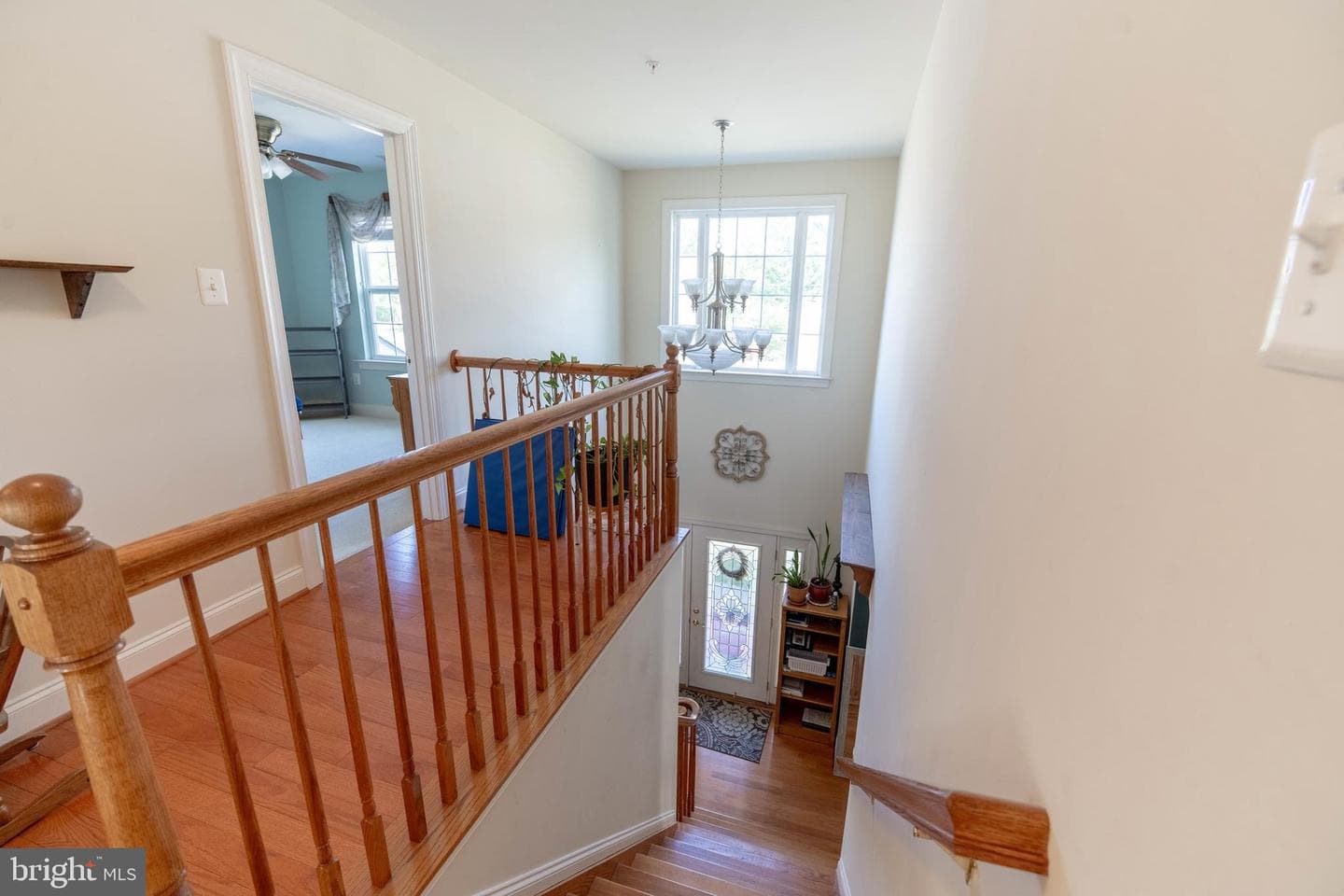 46995 Pembrooke Street photo 45