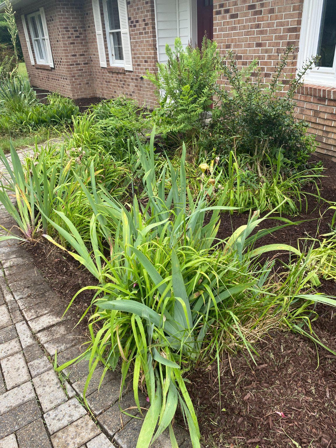 27661 Persimmon Lane photo 27