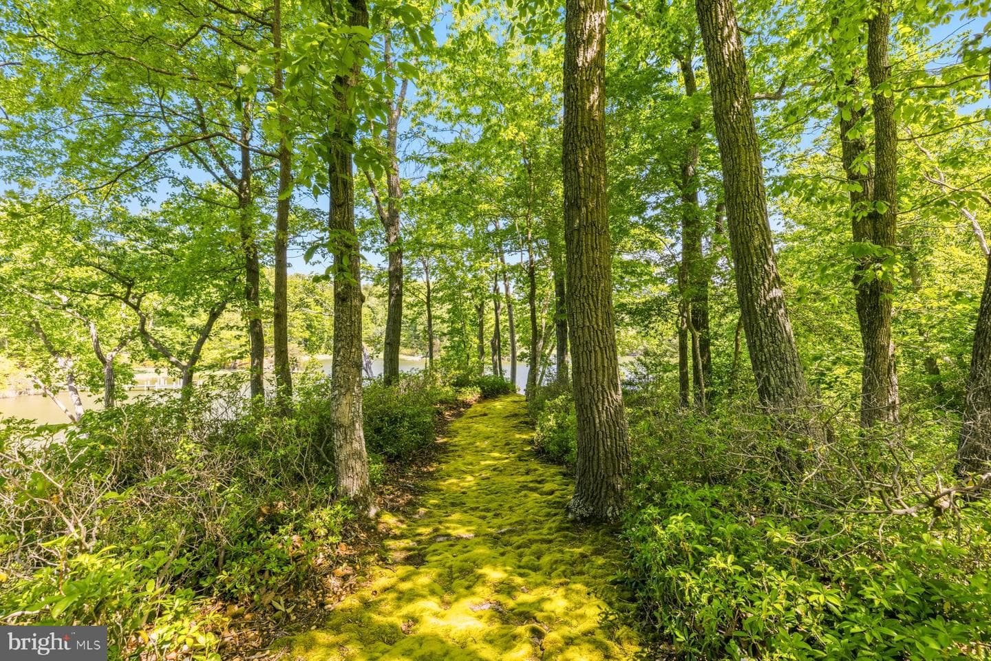 27279 Cat Creek Road photo 5