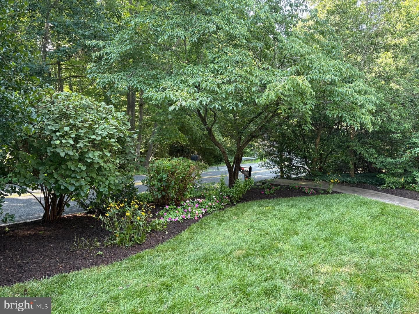 27279 Cat Creek Road photo 66