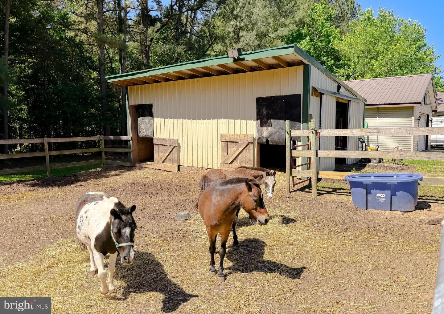 31370 Point Lookout Road photo 2
