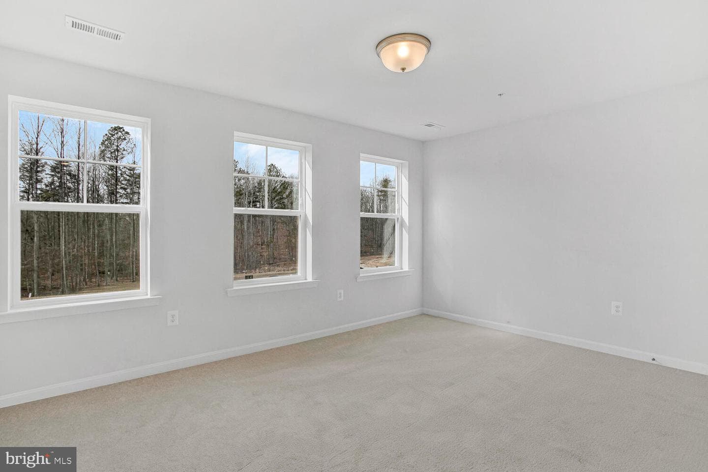 22218 Norris Woods St photo 15