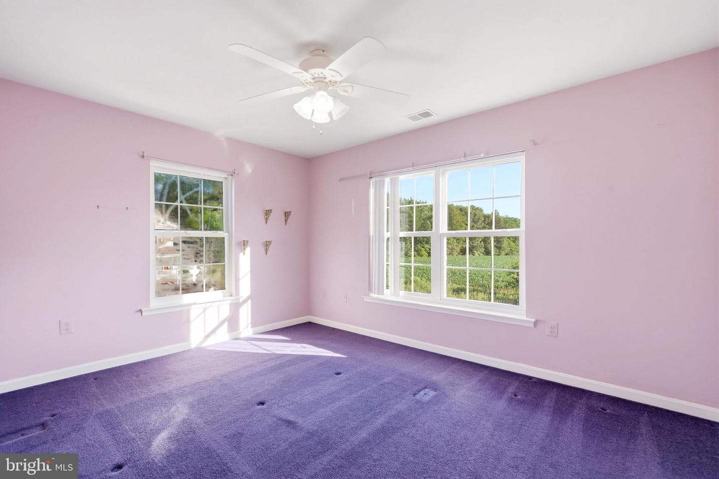 20803 Primrose Court photo 29