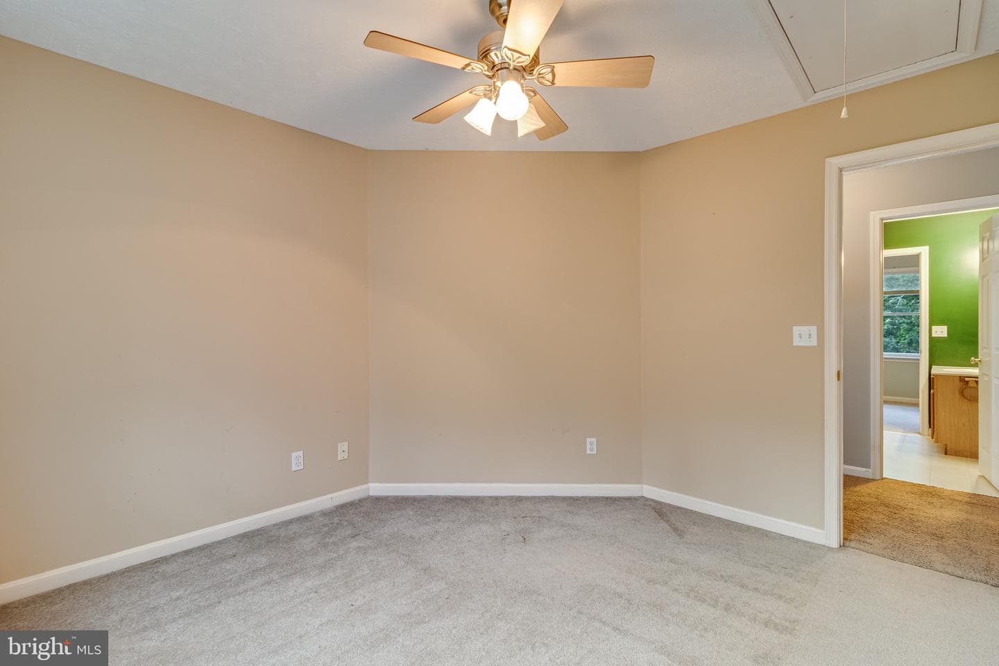 30311 Mount Wolf Way photo 35