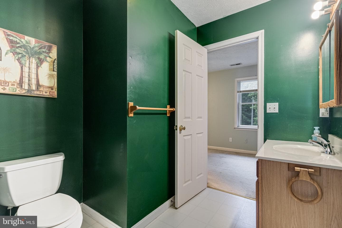 30311 Mount Wolf Way photo 37