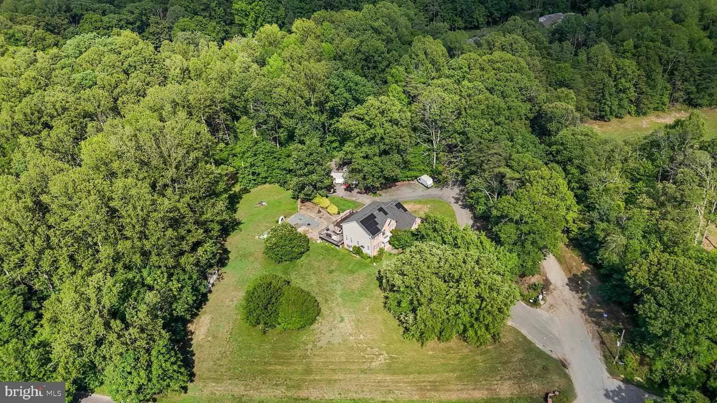 30311 Mount Wolf Way photo 51