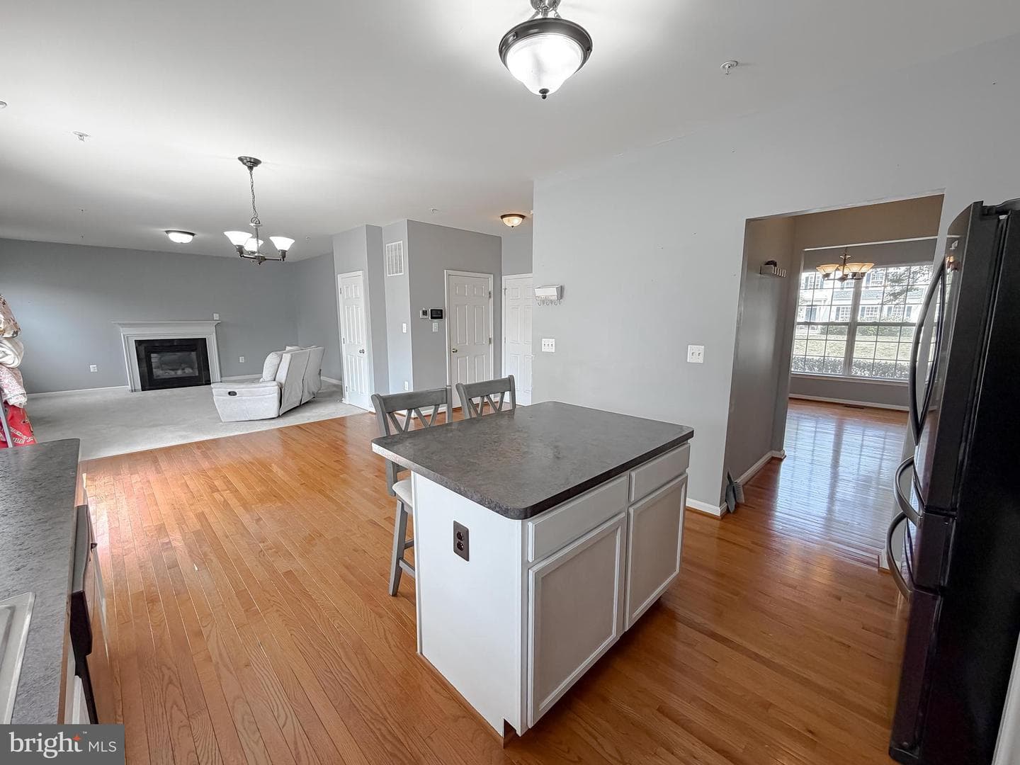 20894 Governors Mill Court photo 12