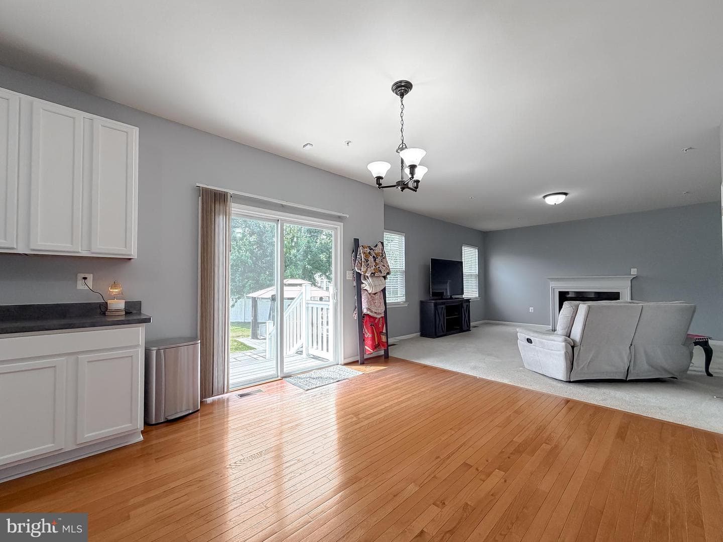 20894 Governors Mill Court photo 14