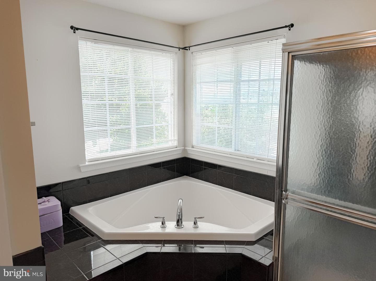 20894 Governors Mill Court photo 29