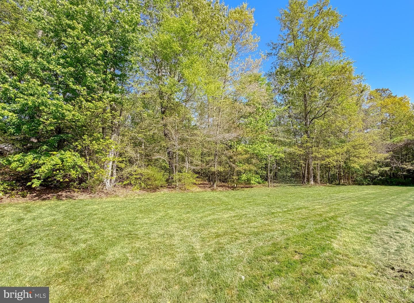 23017 Holloway Court photo 67