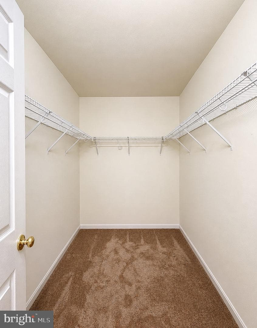 20912 Olympia Court photo 54