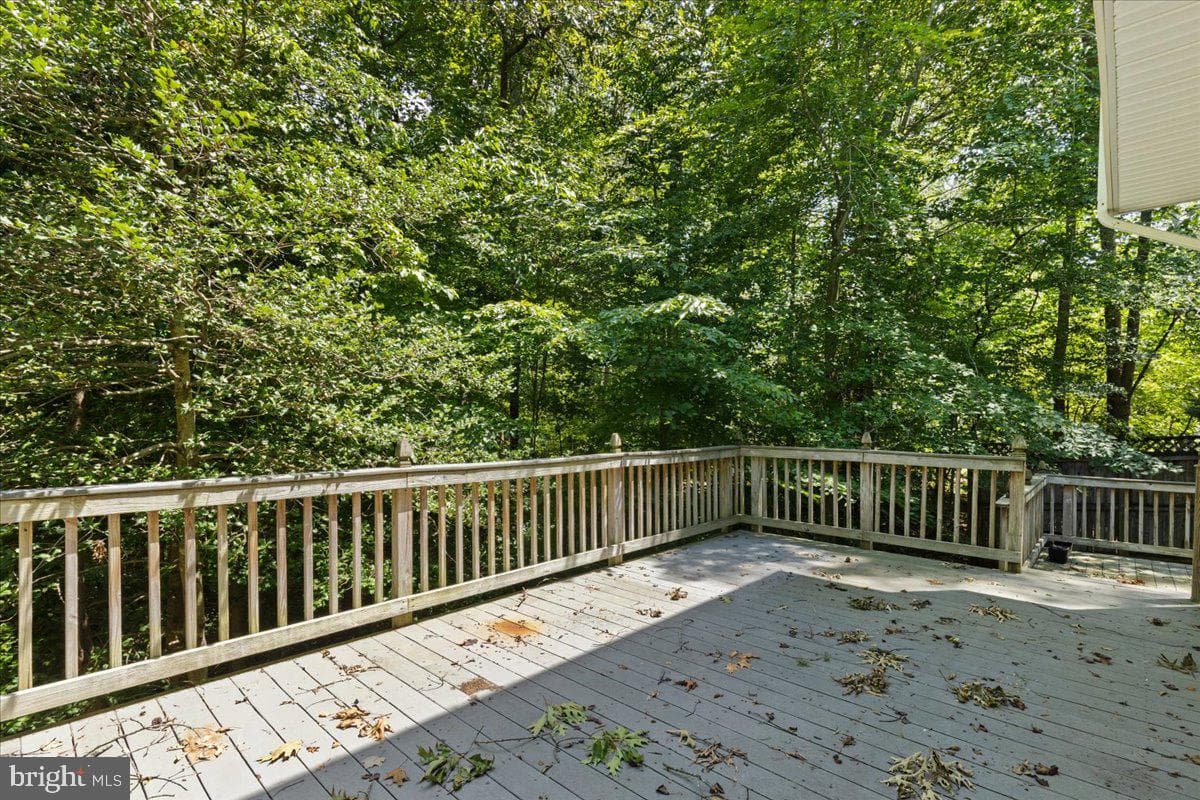 28920 Livingston Drive photo 44
