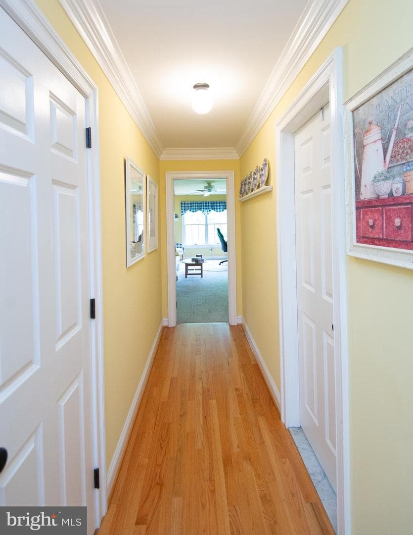 28028 Playtor Road photo 51