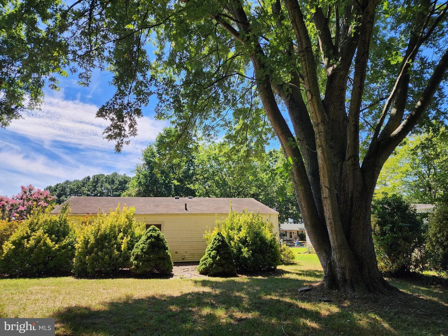 29506 Golton Drive photo 26
