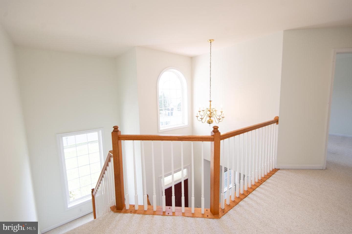 8862 Roundhouse Circle photo 21