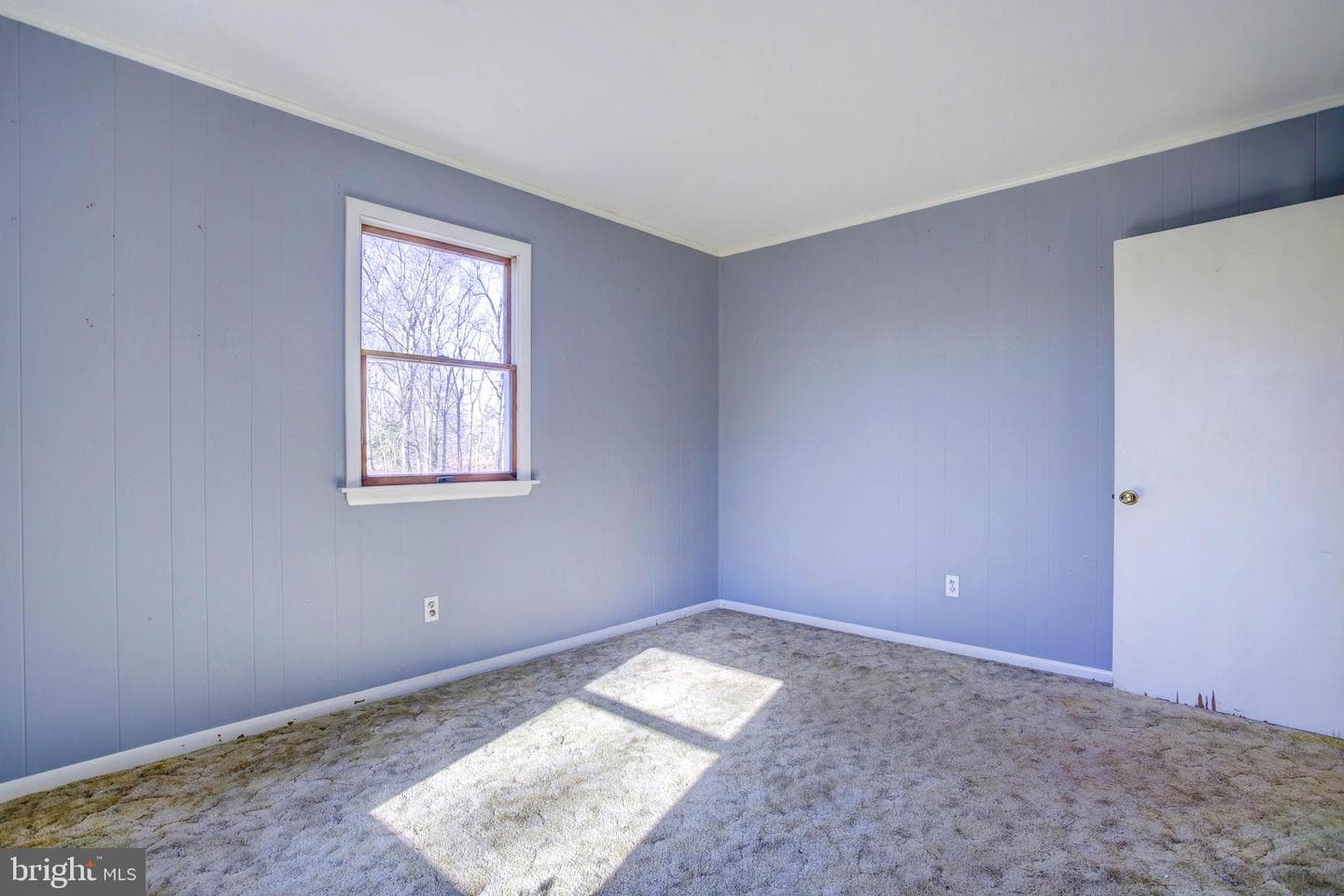 6608 Ocean Gateway photo 31