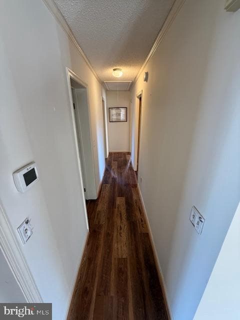 507 Bainbridge Place photo 10