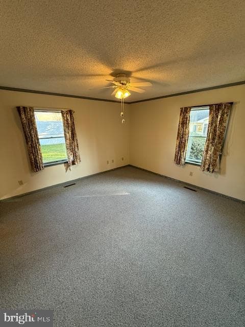 507 Bainbridge Place photo 16