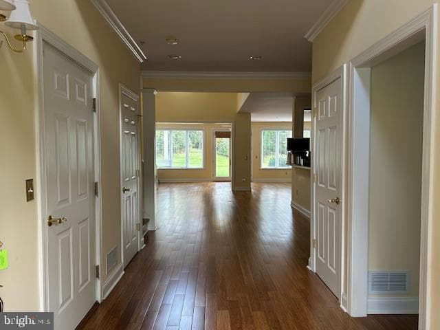 28959 Jasper Lane photo 10