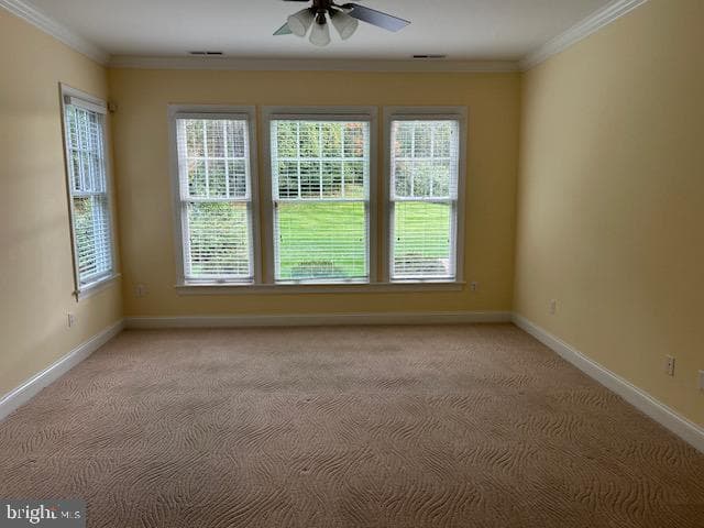 28959 Jasper Lane photo 27