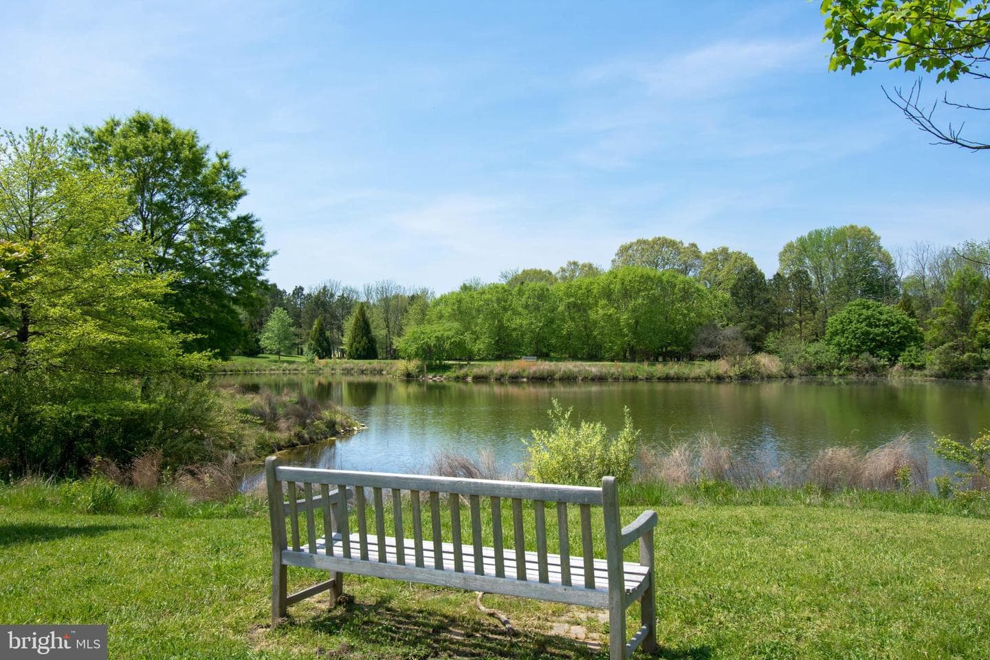 28711 Hope Circle photo 60