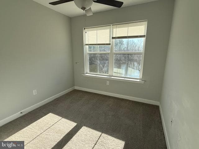 305 Bethune Drive photo 23
