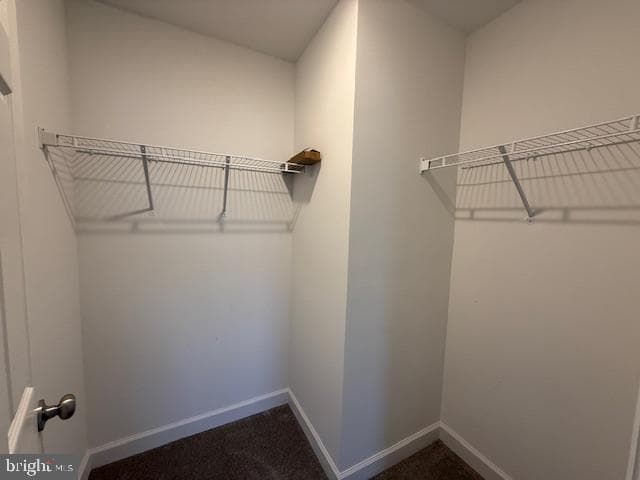 305 Bethune Drive photo 28