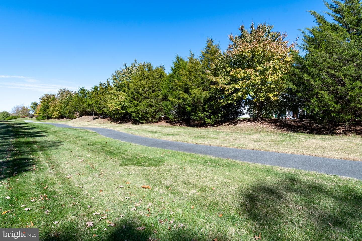 7344 Casey Ave photo 42